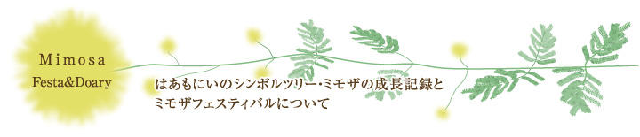 Mimosa Festa&Diary